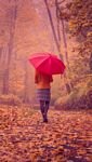 pic for Autumn Walk With Red Umbrella 